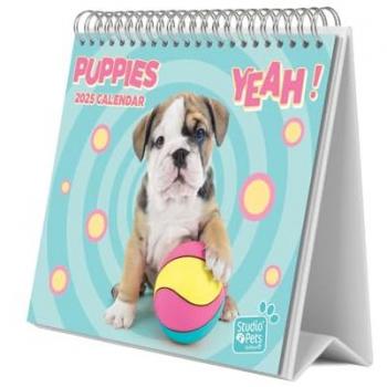 Calendario de escritorio 2025 Studio Pets Dogs Erik multicolor: base resistente, planificador mensual con espacio para anotar y vista mensual global