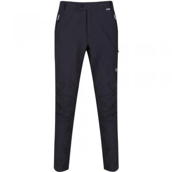 Regatta Men's Highton Water-Repellent Walking Trousers, Seal Grey, Size 32 Regular, UPF 40+, Hiking Trousers