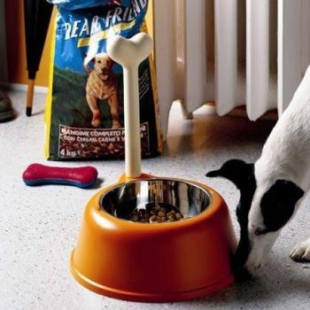 Alessi Lupita AMMI02 B - Comedero para Perros de Diseño en Polipropileno y Acero Inoxidable 18/10, Negro