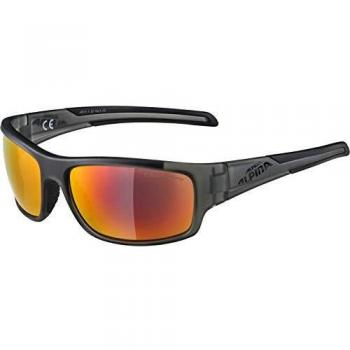 Alpina Gafas Testido Montura Antr/Negra Cristal Ro