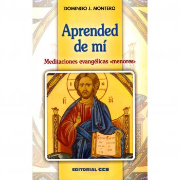 Aprended de mí: Meditaciones evangélicas «menores»