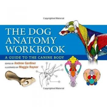 The Dog Anatomy Workbook: A Guide to the Canine Body