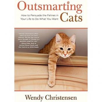 Outsmarting Cats: How To Persuade The Felines In Your Life To Do What You Want