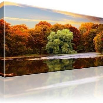 Mar Park Bosque Otoño - cuadro, 1-Teilig: 80x45 cm