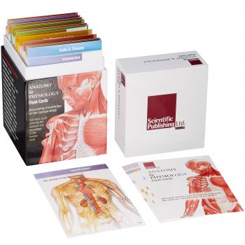 Anatomy and Physiology Flash Cards