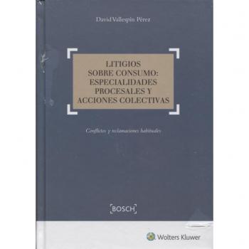 Litigios sobre consumo: especialidades procesales y acciones colectivas