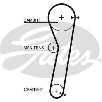 Correa dentada GATES Timing Belt 5365 - Correa de distribución, longitud de 1,6 metros, ancho de 25 mm, fabricada en goma reforzada con fibra sintética, resistente a altas temperaturas y desgaste, diseñada