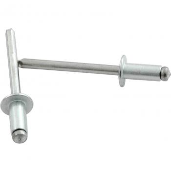 Allstar Performance 18107 Sm Hd Rivet Silver 250pk