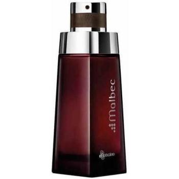Malbec Eau de Toilette for Men 100ml