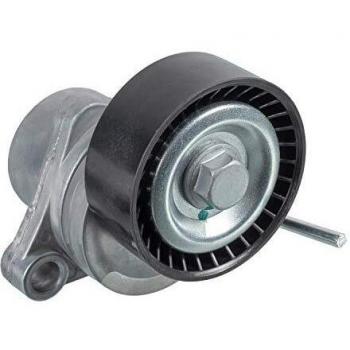 Febi 31076 Correas de Distribución