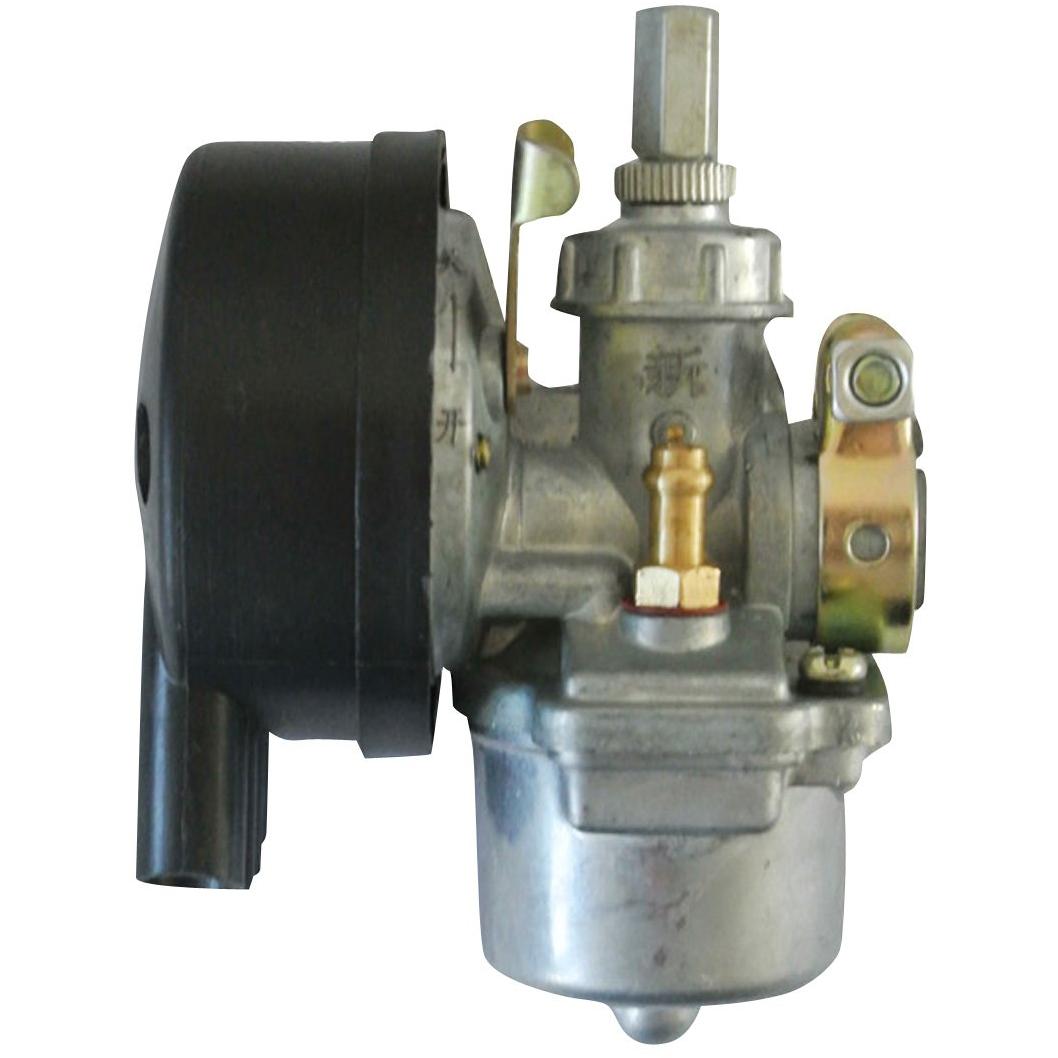 Imagen Principal