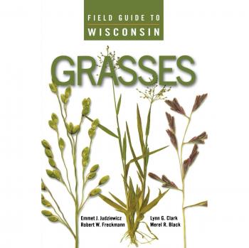 Field Guide to Wisconsin Grasses