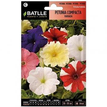 Semillas Batlle - Petunia Compacta VARIADA, Multicolor