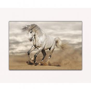 Su bilder24. de – cuadro de XXL silbergraues andalusisches caballo en el desierto sobre lienzo y bastidor, alta calidad, hecha a mano en Alemania., blau gelb weiß grün rot orange braun schwarz rosa, 80 x 120