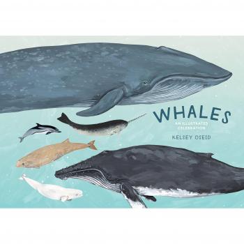 Whales: An Illustrated Celebration