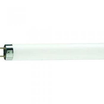 Philips Tubo Fluorescente G13, 25 W