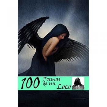 100 Poemas de un Loco: Volume 1