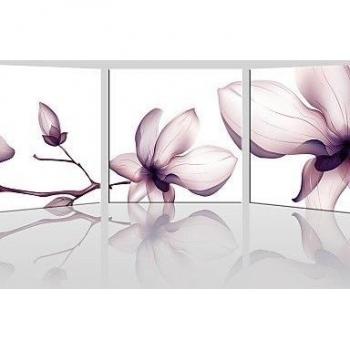 LY&HYL lienzo conjunto / Sin marco lienzo de la lámina Paisaje / Floral/Botánico Modern,Tres Paneles Lienzos Cuadrado lámina Decoración de pared , 15 x 15