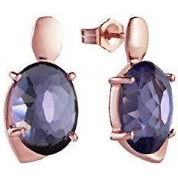 Pendientes Viceroy Jewels 9012E100-57 Plata de Ley