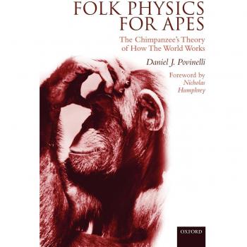 Chimpanzee Folk Physics: Understanding the World Through Primate Perspectives