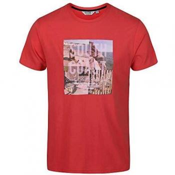 Regatta Cline IV Camisa De Mangas Cortas, True Red, XXL para Hombre