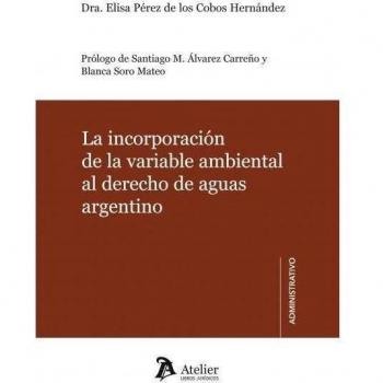 La incorporación de la variable ambiental al derecho de aguas argentino.