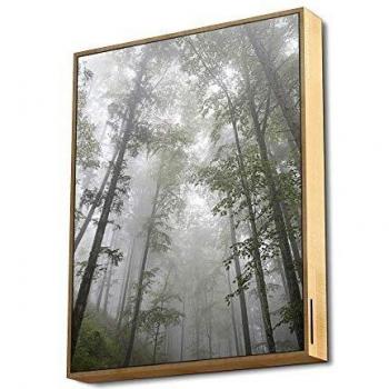 Energy Sistem Frame Speaker Forest - Altavoz