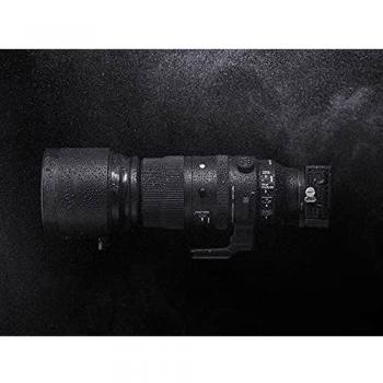 150-600mm F5/-6.3 DG DN for L-Mount