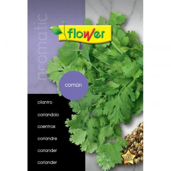 Sobre de semillas de cilantro