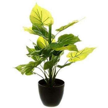 Planta Artificial ATMOSPHERA en Maceta de Cemento - H 45 cm - Modelo 2
