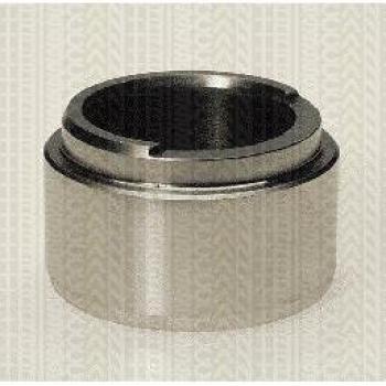 Pinza de freno Triscan 8170 234803, émbolo