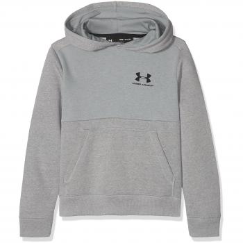 Under Armour EU Cotton Fleece Hoody Sudadera, Niños, Gris