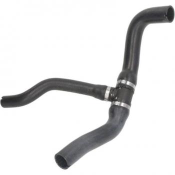 Manguera flexible de radiador THERMOTEC DWF200TT, Durite de refrigeración, Durite inferior de líquido refrigerante
