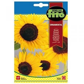 Semillas Fitó 4333 - Semillas de Girasol Ornamental