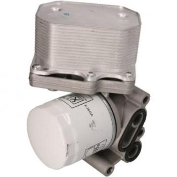 Enfriador de aceite THERMOTEC D4G015TT con características de alta eficiencia en la refrigeración del aceite del motor, diseño compacto, fácil instalación y compatible con múltiples modelos de vehículos