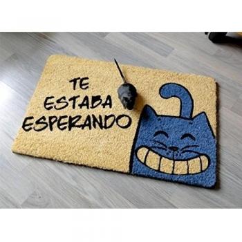 Koko Doormats 135367 - Felpudo con Diseño Gatito Te Estaba Esperando, Coco, 60 x 40 cm