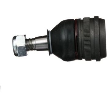 Rótula de suspensión DELPHI TC3717 - Junta de apoyo, control arm ball joint
