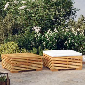 Teak Wood 2-Piece Garden Lounge Set
