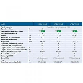 CALENTADOR ESTANCO WTD 15-4 AME HYDRONEXT 5700 S GN
