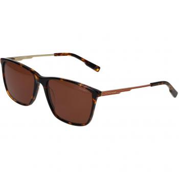 Hackett 3349 101P Gafas de Sol para Hombre Tortoiseshell 58 Lentes