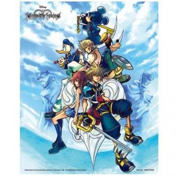 Cuadro 3D Kingdom Hearts Bound by Destiny