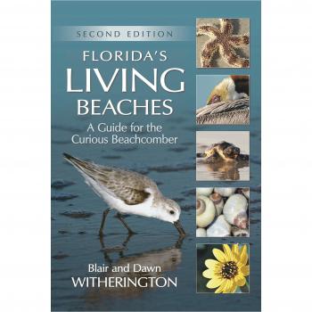 Florida's Living Beaches: A Guide for the Curious Beachcomber