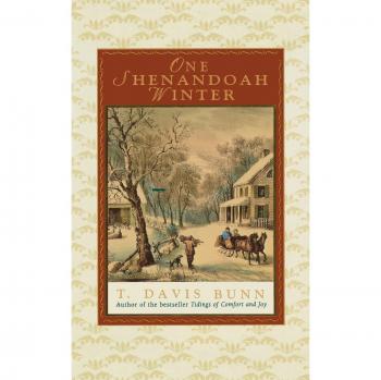 One Shenandoah Winter: A Historical Fiction Novel by Davis Bunn