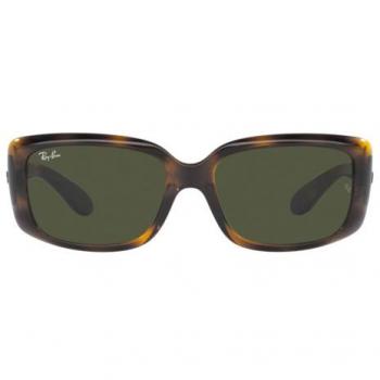 Ray-Ban RB4389 710/31 Women's Sunglasses Tortoiseshell Size 58
