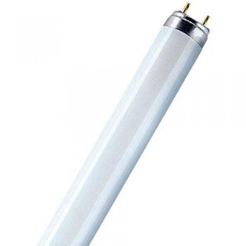 Osram BIOLUX T8 - Lámpara fluorescente, G13L 30 W/965