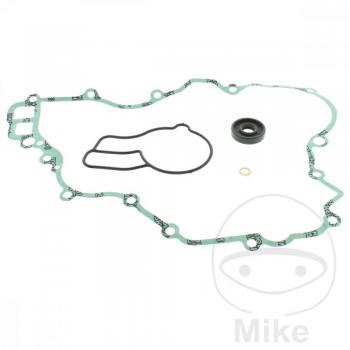 Kit de Juntas de Revisión para Bomba de Agua EXC-F / SX-F 250