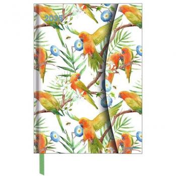 Agenda 2025 Jungle Magneto 16x22 semana vista teNeues azul multilingüe