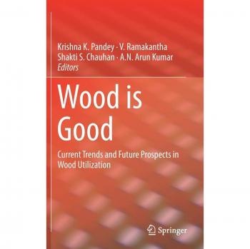 Wood is Good: Current Trends and Future Prospects in Wood Utilization