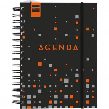 Agenda Escolar Finocam Institut 1/4 SVV 2024-2025 Pixel+