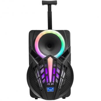Denver TSP-301 Altavoz Portátil con Ruedas, Bluetooth, 12W RMS, Negro, Incluye Micrófono